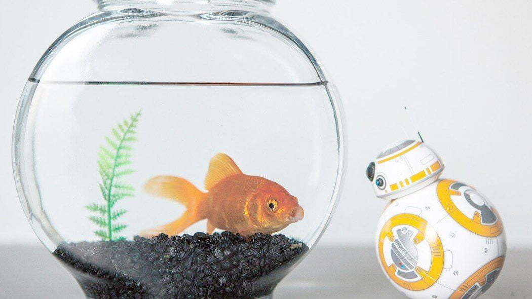 Coffe Time in Office